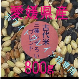 ホワイトクレイン様専用　古代米3種ふぞろいブレンド　愛媛県産　800ｇ(米/穀物)