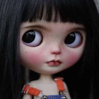 カスタムブライス 海外作家様 クールビューティー 黒髪美人 惹かれる 個性的(人形)