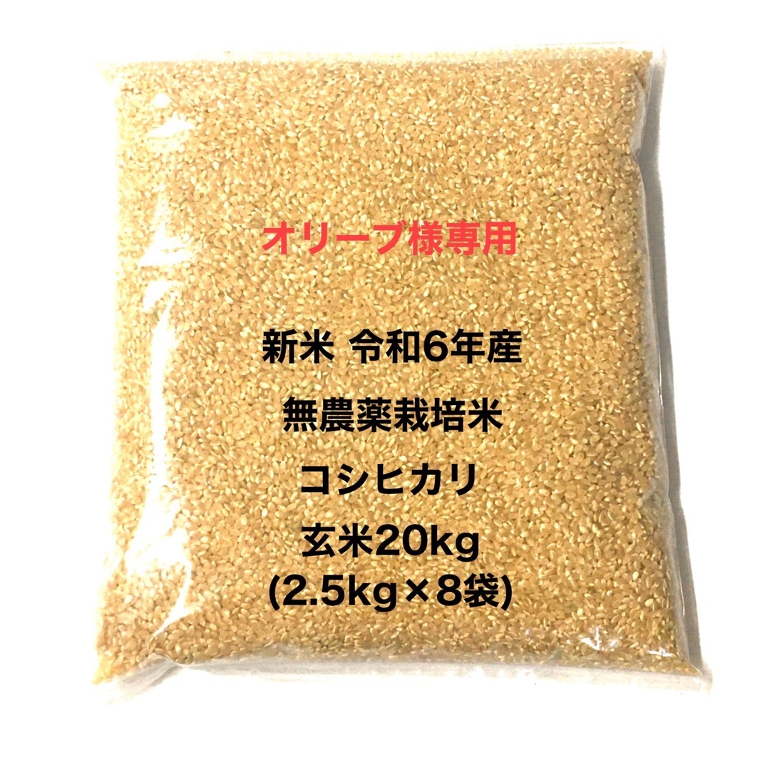 オリーブ様専用 無農薬コシヒカリ玄米20kg(2.5kg×8)令和6年産 オリーブ様専用 無農薬コシヒカリ玄米20kg(2.5kg×8)令和6年産