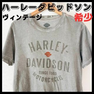 【90年代 希少】 ハーレーダビッドソン Tシャツ レアカラー ビンテージ(パーカー)