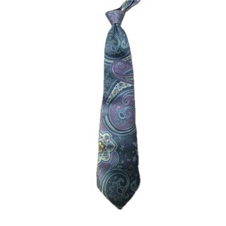 エトロ(ETRO)のエトロ　ETRO ネクタイ　ペイズリー　ハイブランド　シルク100% 限定価格(ネクタイ)