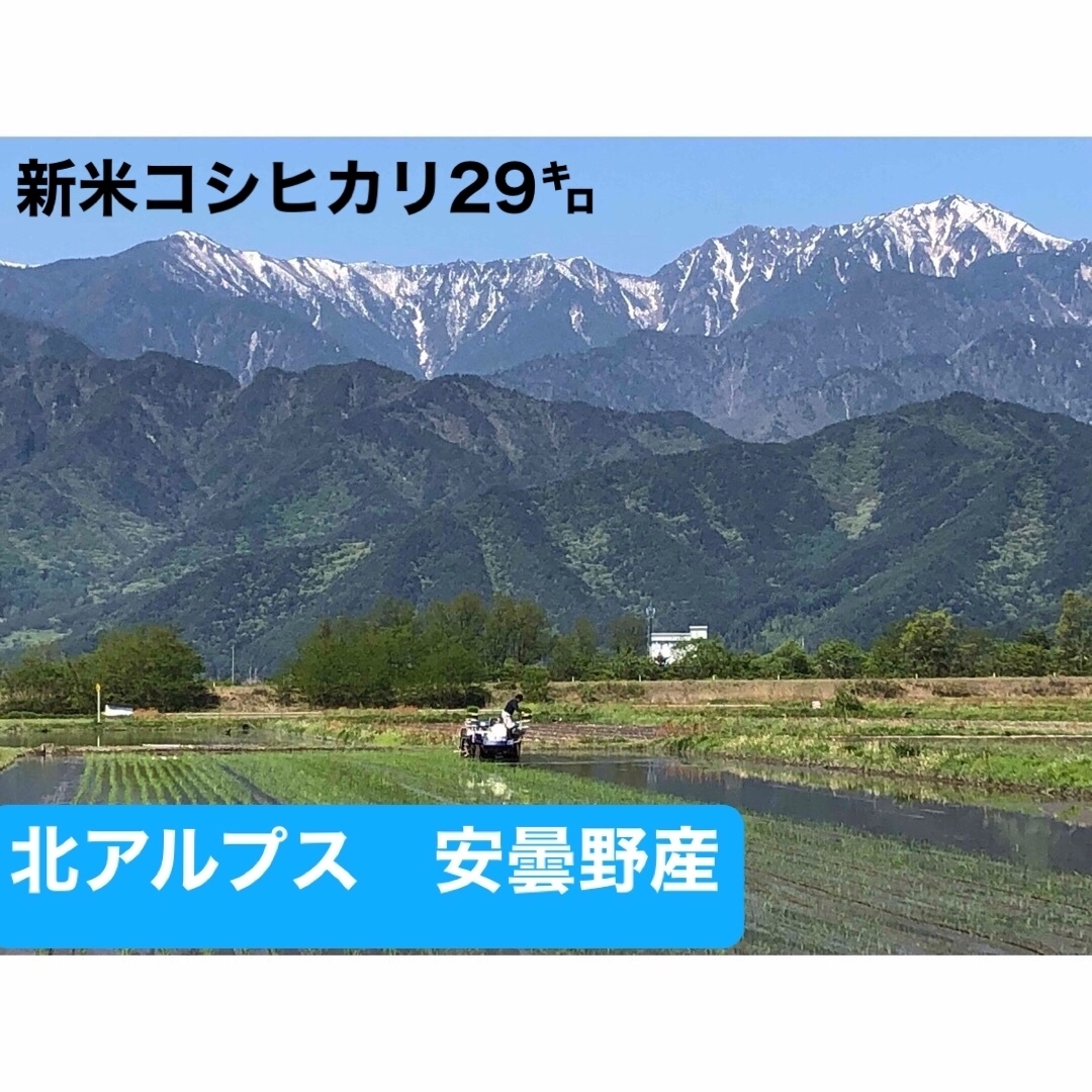 令和6年　新米コシヒカリ　29キロ　　北アルプス　安曇野産