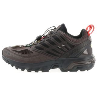SALOMON(スニーカー ・ ブラウン/茶色系)のフリマアイテム一覧 SALOMON(スニーカー ・ ブラウン/茶色系)のフリマアイテム一覧