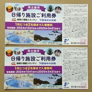 ２枚 ■ 藤田観光 株主優待券 日帰り施設ご利用券 ☆ 箱根小涌園ユネッサンなど(その他)