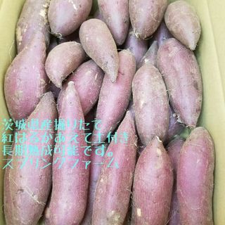 新物3キロ以上茨城県紅はるか通常S&2Sメイン少し訳ありサツマイモ減農薬栽培(野菜)