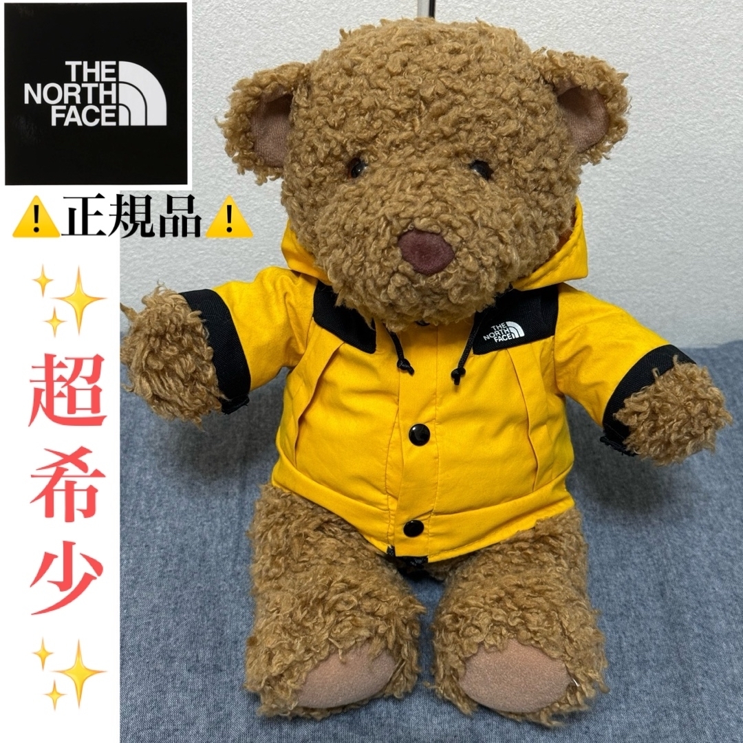 THE NORTH FACE - ⚠️超希少正規品⚠️✨約22年前 THE NORTH FACE - ⚠️超希少正規品⚠️✨約22年前
