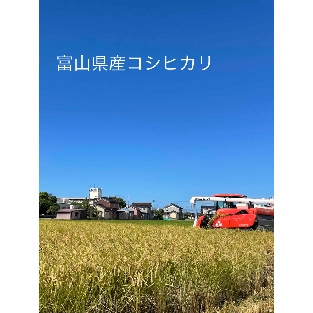 令和5年産 富山県産コシヒカリ 令和5年産 富山県産コシヒカリ