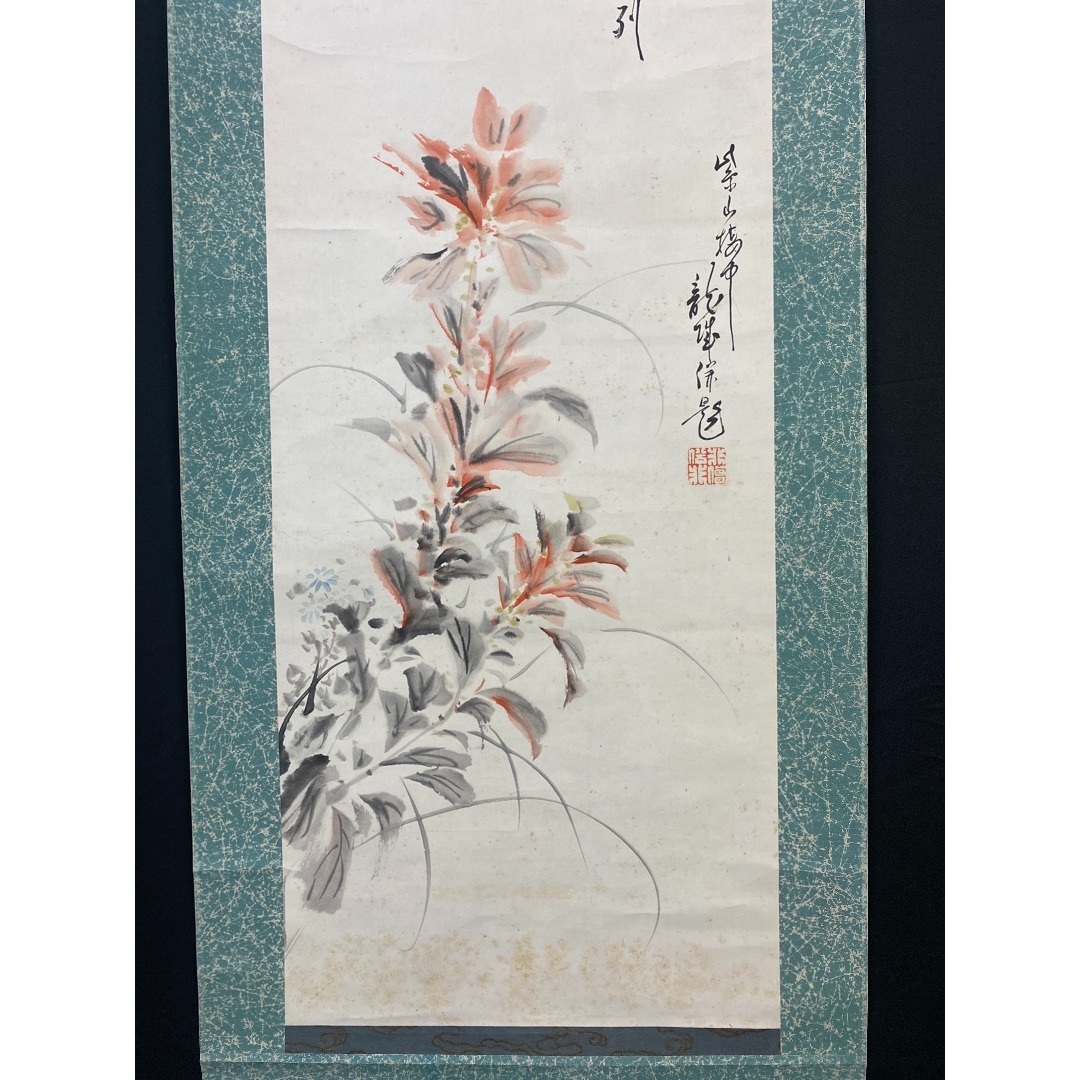 花卉57