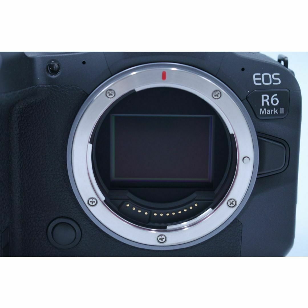 Canon - シャッター回数5000回以下!□極上品□ EOS R6 MarkII Canon - シャッター回数5000回以下!□極上品□ EOS R6 MarkII