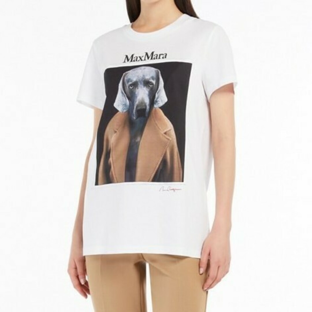 Max Mara - Max Mara cipria コットンTシャツ 新品タグ付きの Max Mara - Max Mara cipria コットンTシャツ 新品タグ付きの