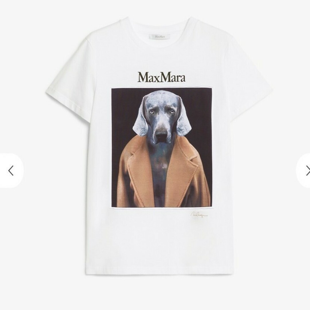 Max Mara - Max Mara cipria コットンTシャツ 新品タグ付きの Max Mara - Max Mara cipria コットンTシャツ 新品タグ付きの