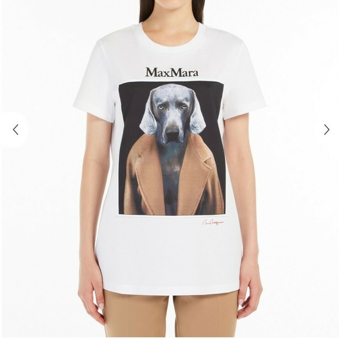 Max Mara - Max Mara cipria コットンTシャツ 新品タグ付きの Max Mara - Max Mara cipria コットンTシャツ 新品タグ付きの