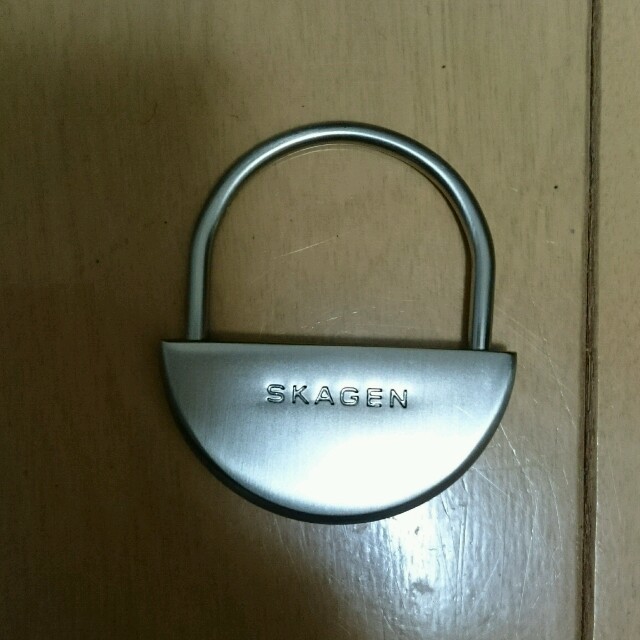 SKAGEN(スカーゲン)のSKAGEN キーホルダー エンタメ/ホビーのエンタメ その他(その他)の商品写真