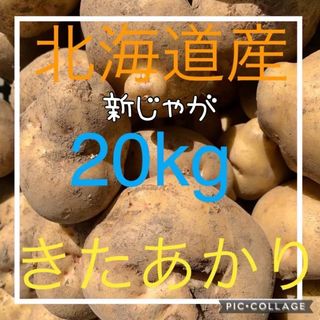 北海道産じゃがいもキタアカリ20kg(野菜)