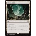マジックザギャザリング DSC JP 0281 不気味な辺境林 (日本語版 レア) ダスクモーン:戦慄の館 統率者 (MTG)