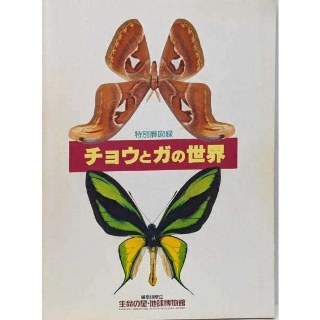 【中古】チョウとガの世界 : 特別展図録/神奈川県立生命の星・地球博物館, 日本鱗翅学会編集 エンタメ/ホビーの本(その他)の商品写真