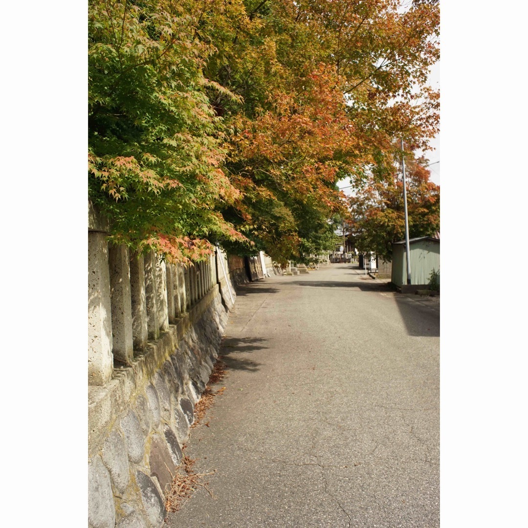 Nikon - 作例付き Nikon NIKKOR-H AUTO 28mm F3.5 管mprの通販 Nikon - 作例付き Nikon NIKKOR-H AUTO 28mm F3.5 管mprの通販