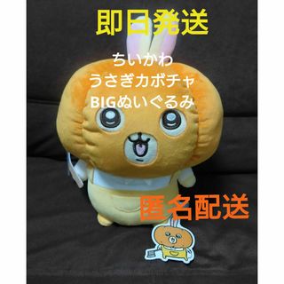チイカワ(ちいかわ)のちいかわ うさぎカボチャBIGぬいぐるみ(ぬいぐるみ)
