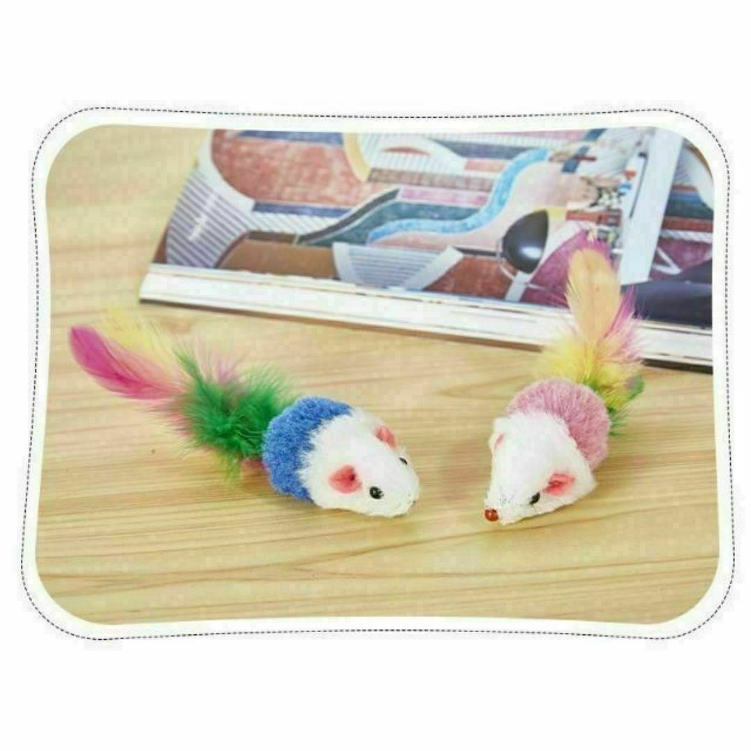 ガバット 鼠 nezumi 物珍し ねずみ 一二の用品店 ガバット 鼠 nezumi 物珍し ねずみ 一二の用品店