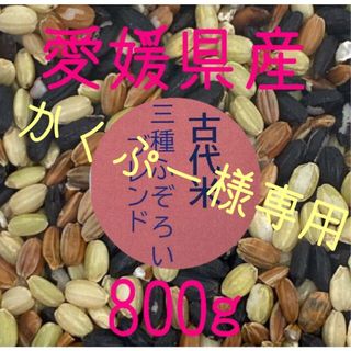 かくぷー様専用　古代米3種ふぞろいブレンド　愛媛県産　800ｇ(米/穀物)