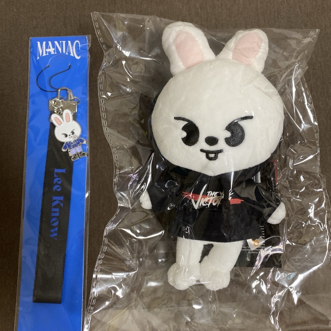 Stray Kids リノ SKZOO Leebit グッズ10点セット アイドルグッズ Stray Kids リノ SKZOO Leebit グッズ10点セット アイドルグッズ
