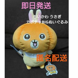 チイカワ(ちいかわ)のちいかわ うさぎカボチャBIGぬいぐるみ(ぬいぐるみ)