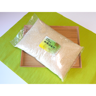 新米　令和６年産　きぬひかり　5kg　無洗米(米/穀物)