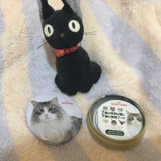 新品◆ロイヤルカナンメモ缶 ノルウェージャンフォレストキャット◆(猫)