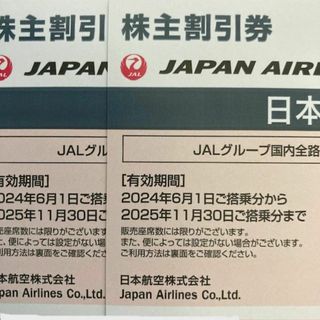 JAL　株主優待　２枚　匿名配送(その他)