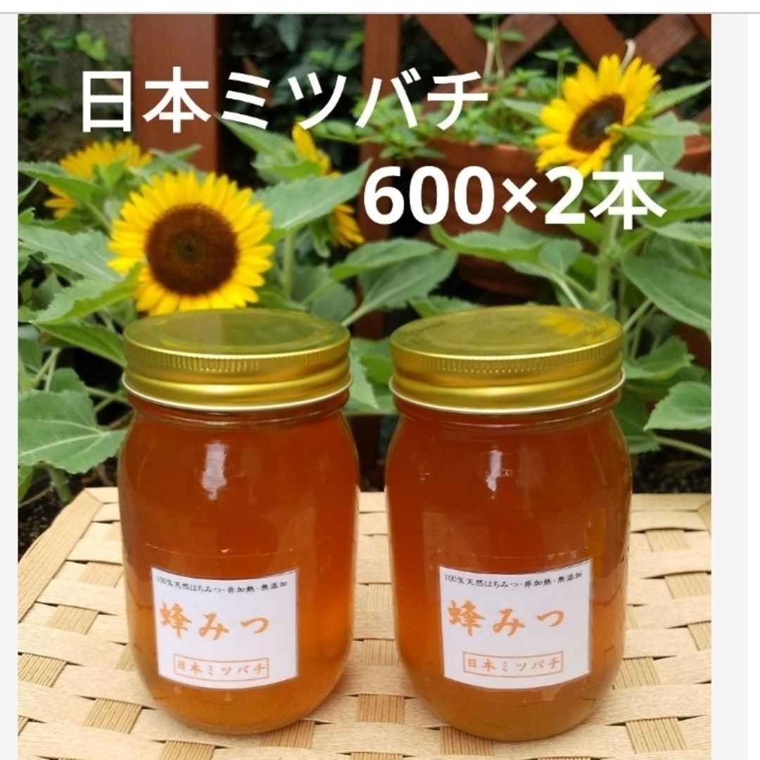 日本ミツバチの蜂蜜 600g×2本 日本ミツバチの蜂蜜 600g×2本