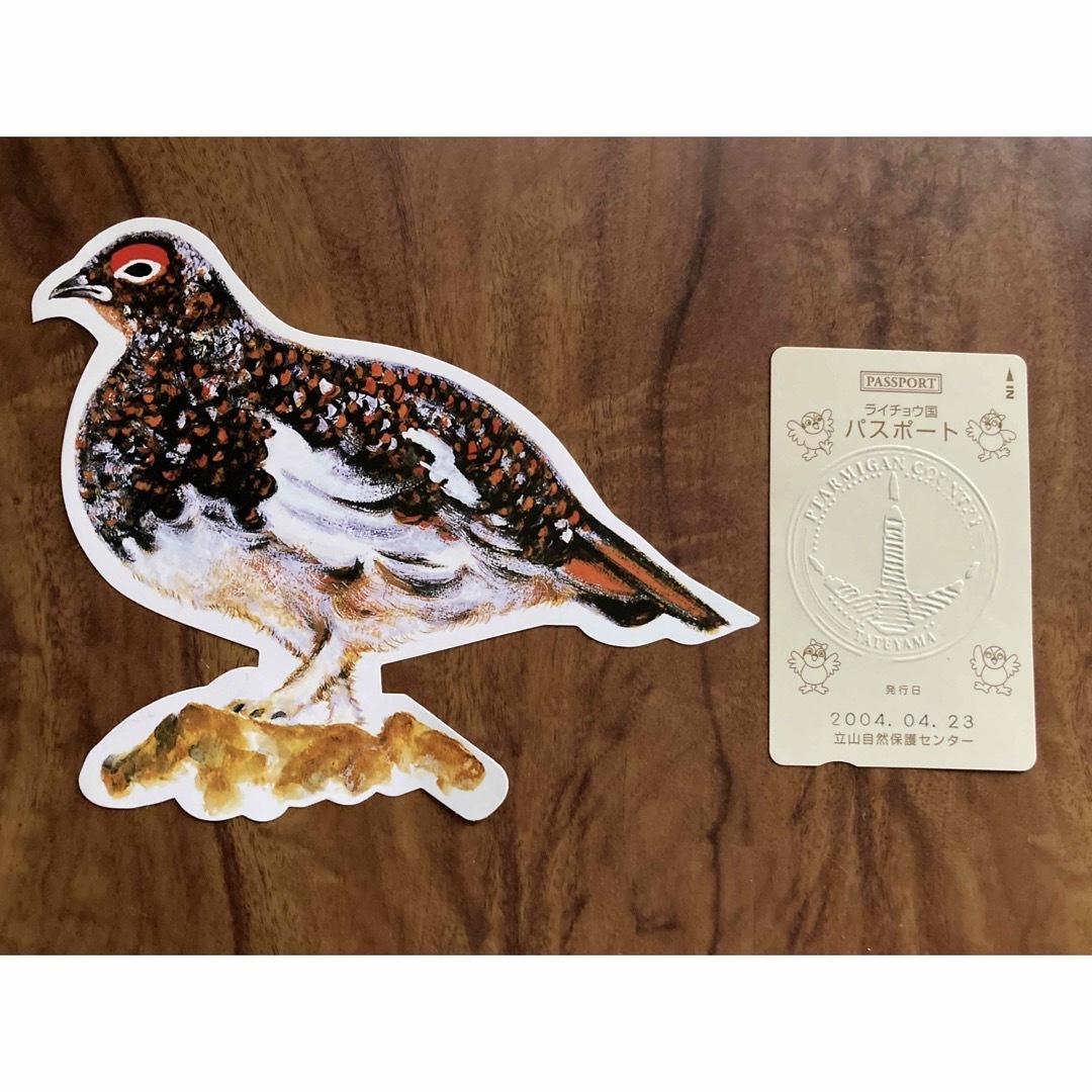 雷鳥パスポート エンタメ/ホビーのコレクション(その他)の商品写真