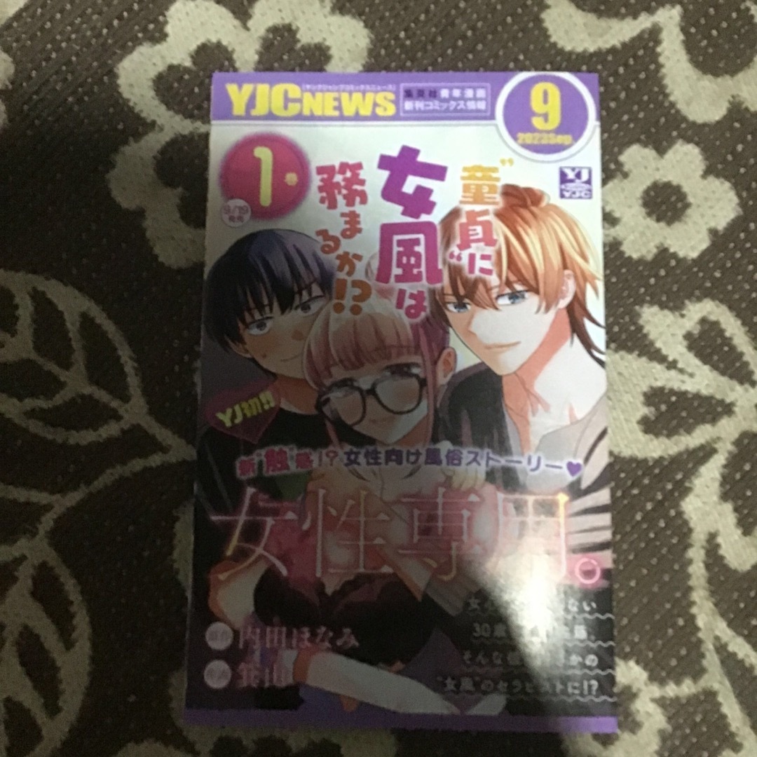 漫画 本 ちらし 童貞に女風は務まるか チラシ 差し込み エンタメ/ホビーのコレクション(印刷物)の商品写真