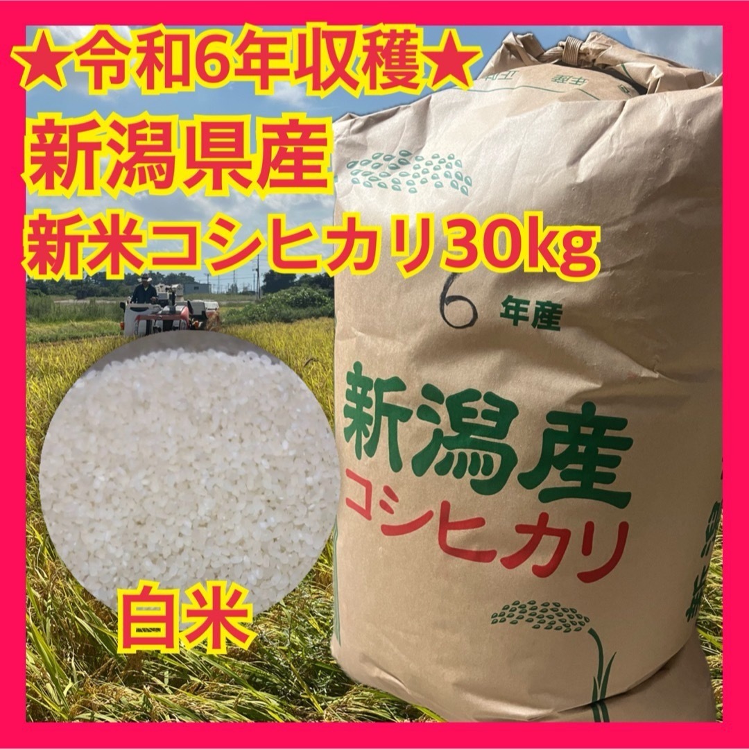 令和6年石川県産こしひかり化学肥料不使用減農薬 玄米20Kg 令和6年石川県産こしひかり化学肥料不使用減農薬 玄米20Kg