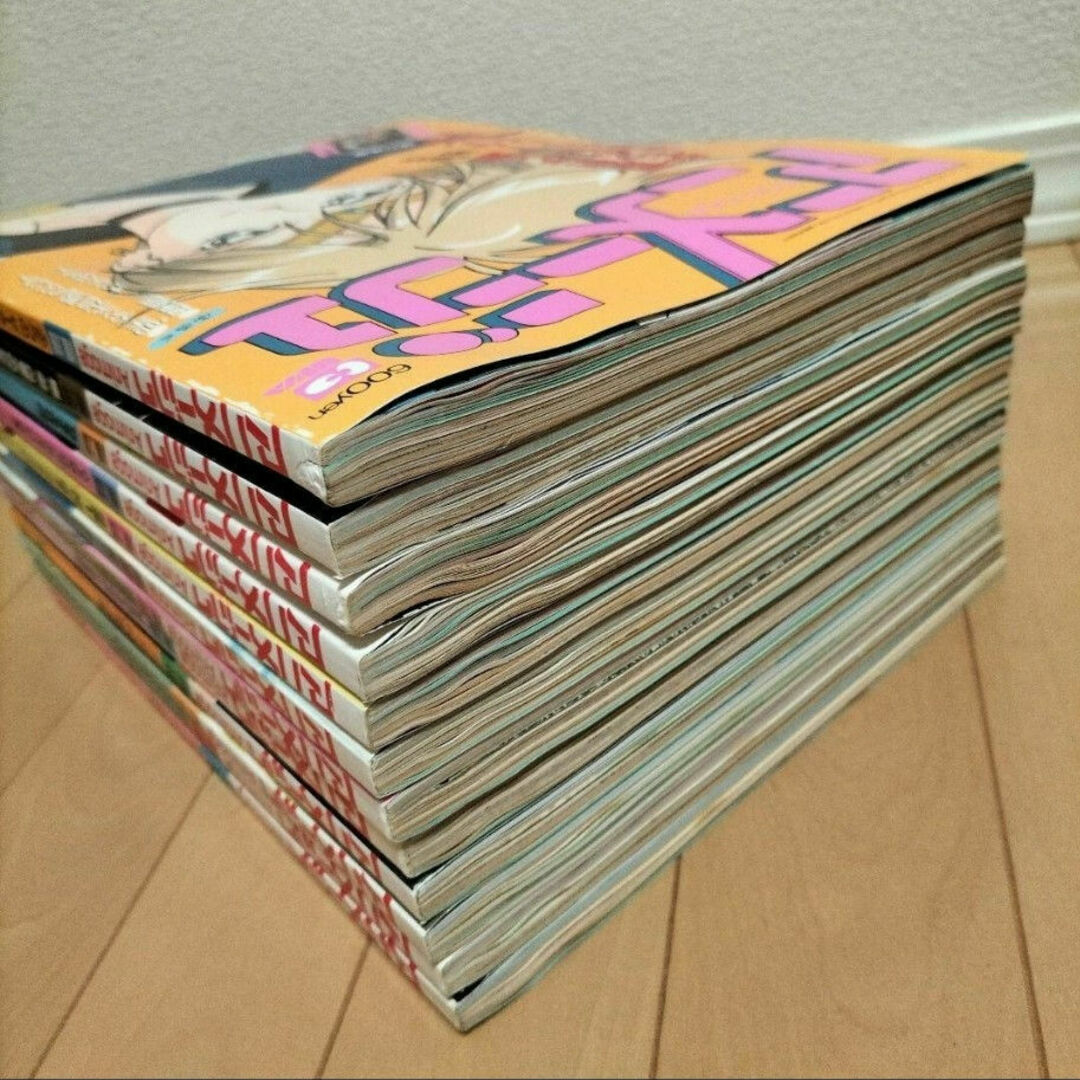新品同様】アニメージュ〈12冊セット〉1995年1月号〜12月号 ふ 新品同様】アニメージュ〈12冊セット〉1995年1月号〜12月号 ふ