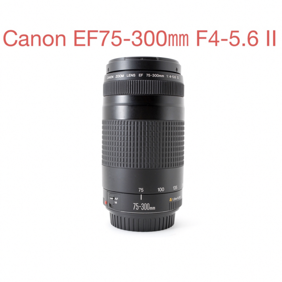 Canonズームレンズ 軽かっ EF 75-300 f4-5.6 Ⅲ USM Canonズームレンズ 軽かっ EF 75-300 f4-5.6 Ⅲ USM