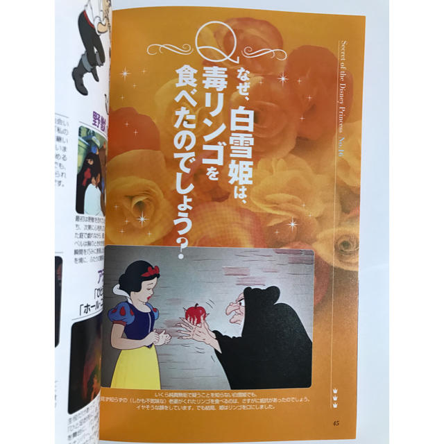 Disney(ディズニー)のＤisney プリンセスの秘密   本 エンタメ/ホビーの雑誌(アート/エンタメ/ホビー)の商品写真