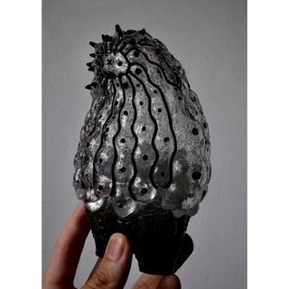 robin COPIAPOA MONSTER 羅本製所の通販 by shop|ラクマ robin COPIAPOA MONSTER 羅本製所の通販 by shop|ラクマ