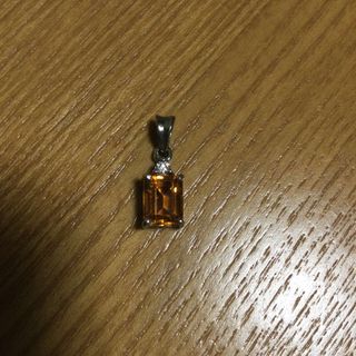 ネックレス　チャーム(ネックレス)