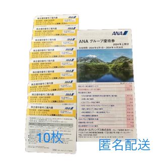 エーエヌエー(ゼンニッポンクウユ)(ANA(全日本空輸))のANA株主優待券　10枚(その他)