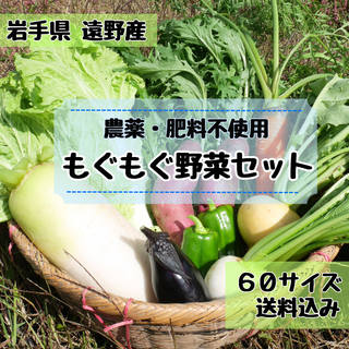 \\農家直送 野菜の味が濃い！//野菜詰め合わせ  60サイズ《農薬不使用》(野菜)