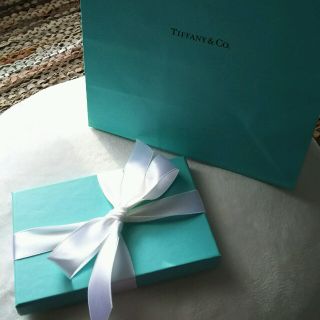 ティファニー(Tiffany & Co.)のTiffany ポケットダイアリー(その他)