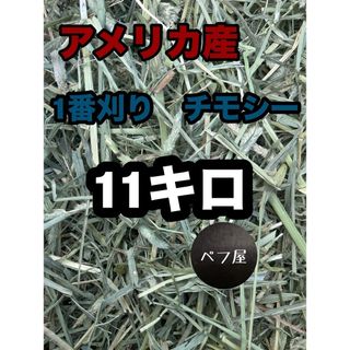 チモシー11キロ　ウサギ モルモット　デグー チンチラ １番刈