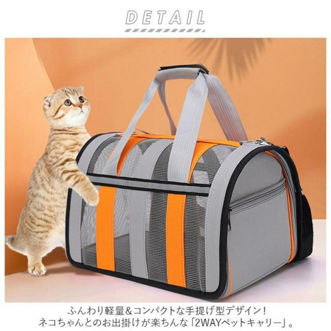 セール 海外 輸入 ペット 用品