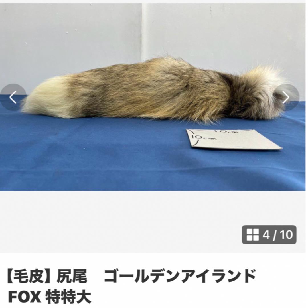 独特な店 毛皮】ゴールデンアイランドフォックス 珍しい毛皮の通販 特大 その他