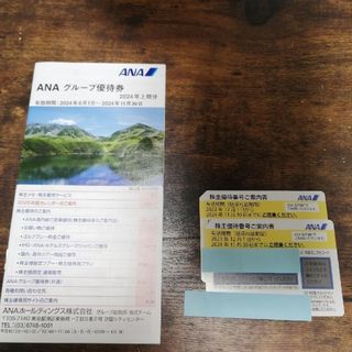ANA 株主優待券2枚(有効期間2024年11月30日まで)(航空券)