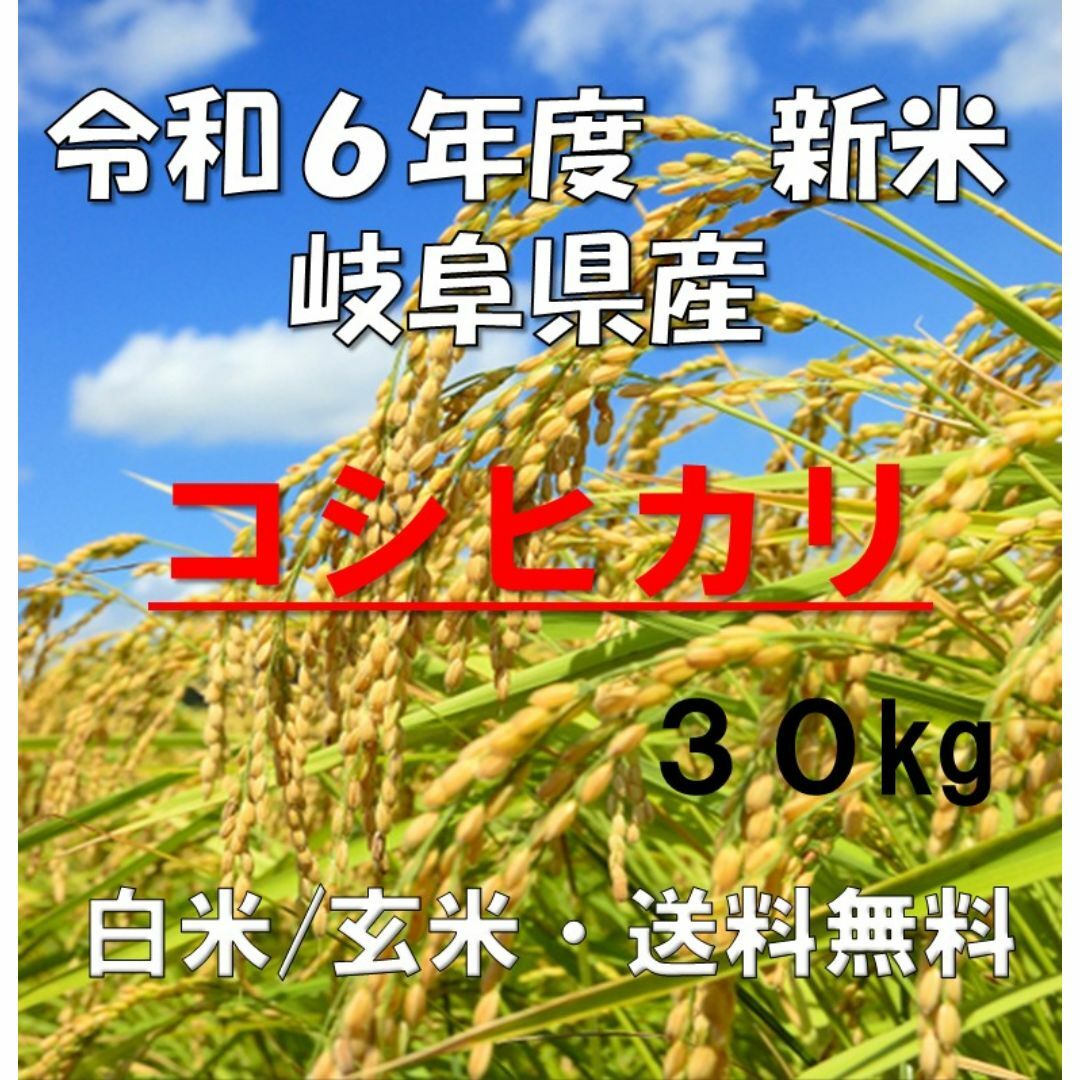 新米　令和６年度　岐阜県産　コシヒカリ　玄米(精米も可能)　30kg　送料無料