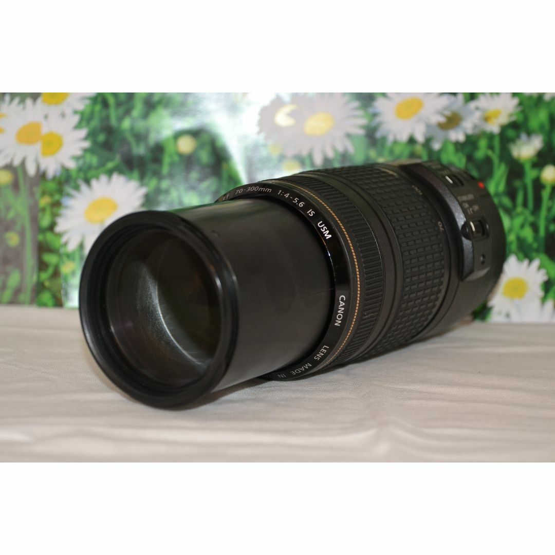 Canon EF 70-300mm F4-5.6 IS USM♥️超望遠レンズ Canon EF 70-300mm F4-5.6 IS USM♥️超望遠レンズ