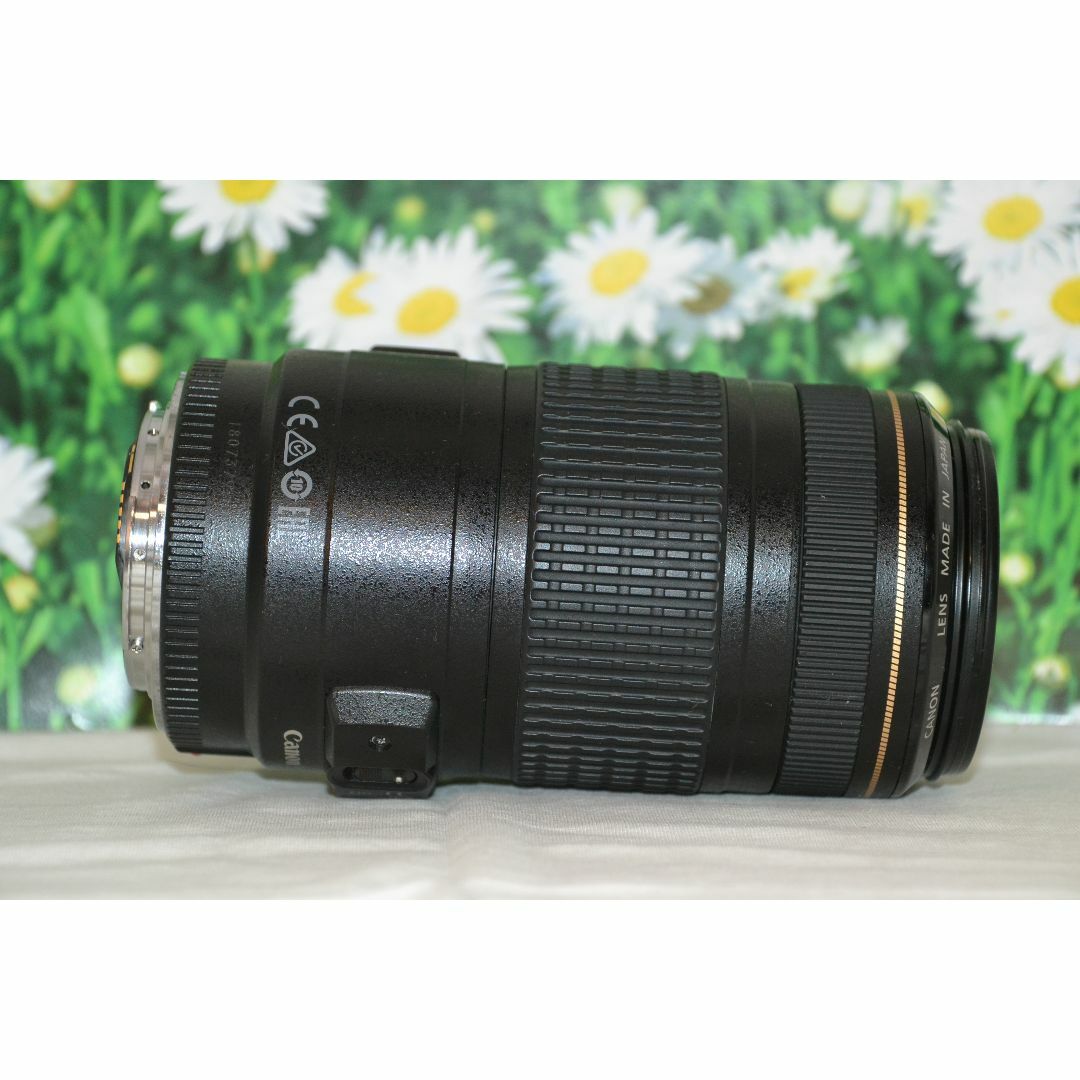 Canon EF 70-300mm F4-5.6 IS USM♥️超望遠レンズ Canon EF 70-300mm F4-5.6 IS USM♥️超望遠レンズ