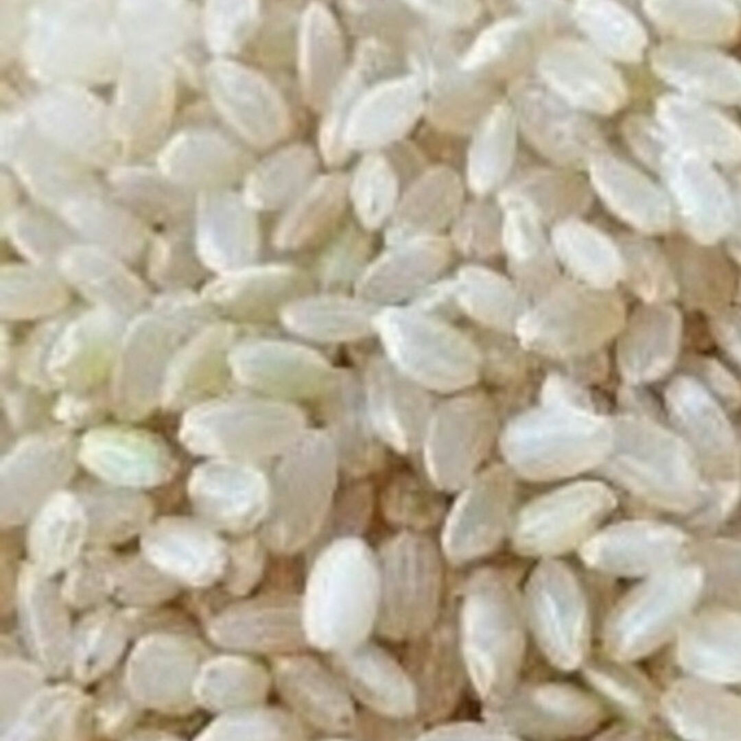 新米 お米10kg×2合計20kg 令和6年魚沼産コシヒカリ 玄米 新米 お米10kg×2合計20kg 令和6年魚沼産コシヒカリ 玄米