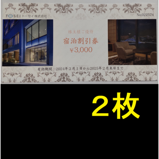 トーセイ 株主優待券 6000円分 2025年2月期限 -a(宿泊券)